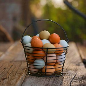 Farm Fresh Eggs