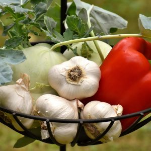 Fresh Herbs & Vegetables